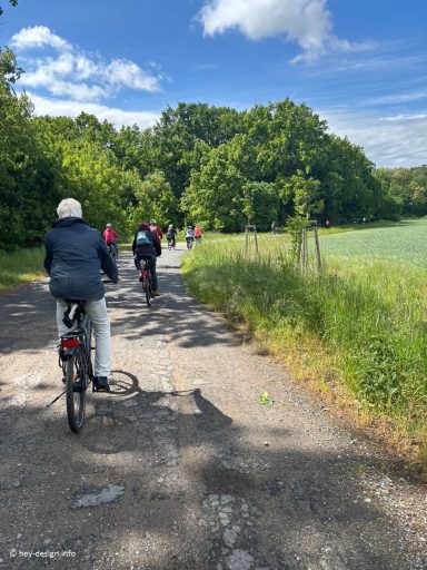 Radfahrer auf einem schmalen Weg durch eine grüne Landschaft mit Bäumen auf einer gemeinsamen Radtour.