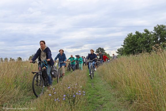 Gruppe von Radfahrern auf einem Weg durch hohes Gras unter bewölktem Himmel.
