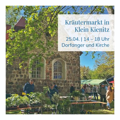 Kräutermarkt mit Ständen und Besuchern vor einer Kirche in Klein Kienitz.