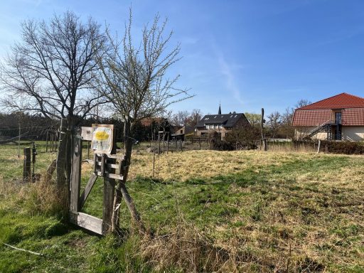 Landschaft mit Wiese, vereinzelten Bäumen und einem Gebäude im Hintergrund.