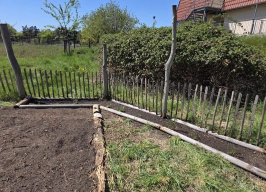 Gartenbeet mit Zaun und Rasenfläche im Hintergrund, sonniger Tag.