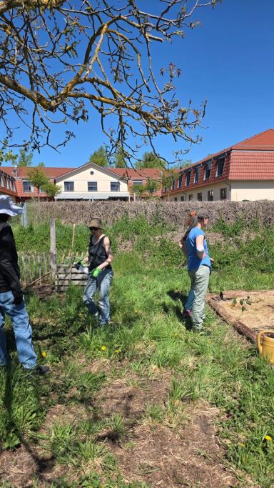Drei Personen arbeiten im Freien auf einem sonnigen Grundstück mit Häusern im Hintergrund.