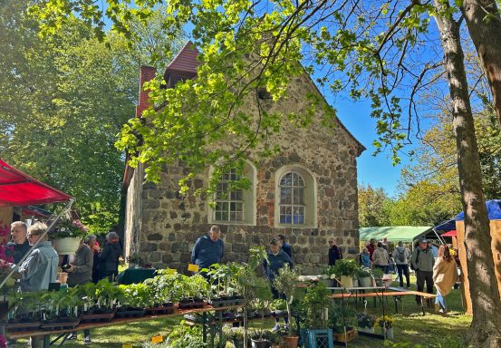 Kräutermarkt mit Pflanzenständen vor einer Kirche.